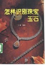 怎样识别珠宝玉石 1993 PDF电子版封面 7116014691 王曙著