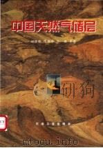 中国天然气储层 1999 PDF电子版封面 750212571X 赵澄林等著