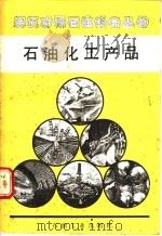 石油化工产品 1989 PDF电子版封面 750210268X 顾惠达等译注