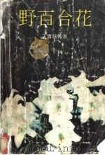野百合花 1992 PDF电子版封面 7536013094 王实味等著;沈默编