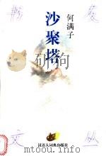 沙聚塔   1999  PDF电子版封面  7543203774  何满子著 