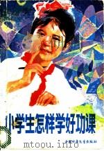 小学生怎样学好功课 1986 PDF电子版封面 R7056·109 《中国少年报》社学校组编