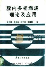 膛内多相燃烧理论及应用 1994 PDF电子版封面 7800388077 王升晨等著