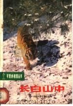 长白山中 1981 PDF电子版封面 12056·18 梁之著