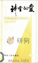 神圣的爱 1985 PDF电子版封面 3109·519 林萤著