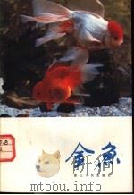 金鱼 1980 PDF电子版封面 13103·8 傅毅远著