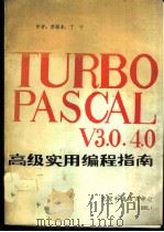 TURBO PASCAL V3.0 4.0高级实用编程指南 1990 PDF电子版封面 游疆来,丁宁编