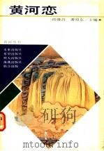 黄河恋 1989 PDF电子版封面 7535003699 阎豫昌,龚绍东主编
