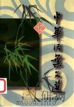 中华活叶文选 12 1986 PDF电子版封面 753252440X 上海古籍出版社编