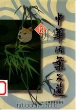中华活叶文选 13 1990 PDF电子版封面 7532502910 上海古籍出版社编