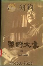 碧野文集 1 1993 PDF电子版封面 753540930X 碧野著