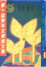 第十届青年文学奖文集 1987 PDF电子版封面 9620404793 第十届青年文学奖执委会编