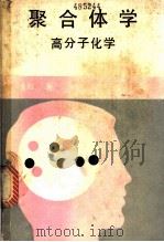 聚合体学：高分子化学（ PDF版）