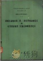 新疆古生物考察报告 3 准噶尔盆地南缘二叠、三叠纪脊椎动物化石及吐鲁番盆地第三纪地层和哺乳类化石 1978 PDF电子版封面 13031·766 刘宪亭著