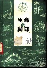 生命的脚印   1979  PDF电子版封面  13103·6  徐世延编写 