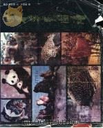 世界兽类图谱 1990 PDF电子版封面 7110016609 傅珏,黄世强文;于恒希绘图
