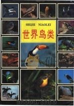 世界鸟类 1991 PDF电子版封面 7538822240 (美)高斯列尔主编;柯浦灗改编;邹兴淮主译