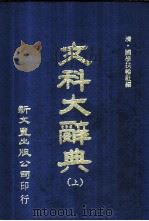 文科大辞典 上下 1974 PDF电子版封面 (清)国学扶轮社编著