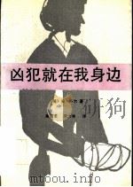 凶犯就在我身边 1991 PDF电子版封面 7501406073 (美)卢尔著;高潮龙等译