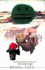 高更 1998 PDF电子版封面 7532219682 小音文