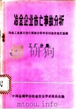 冶金企业伤亡事故分析：工厂分册（ PDF版）