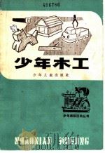 少年木工 1983 PDF电子版封面 R13024·164 徐轲,徐春荫编著