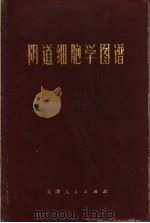 阴道细胞学图谱 1973 PDF电子版封面 天津医学院附属医院妇产科
