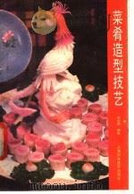 菜肴造型技艺 1988 PDF电子版封面 7532303748 封长虎编著