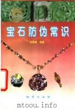 宝石防伪常识 1996 PDF电子版封面 7116020608 王希峰编著