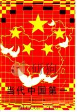 当代中国第一 1989 PDF电子版封面 7541911135 刘春玉主编