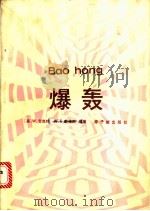 爆轰 1988 PDF电子版封面 7502200134 (美)菲克特(Fickett,W.),(美)戴维斯(Davi