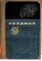 神经系统解剖学 1958 PDF电子版封面 14119·1026 (美)兰生(S.W.Ranson)著;王沪祥译