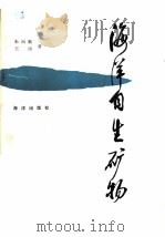 海洋自生矿物 1988 PDF电子版封面 7502700250 朱而勤,王琦编著