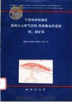 宁芜和庐枞地区陆相火山喷气沉积-热液叠加改造型铁.硫矿床 1991 PDF电子版封面 7116008640 胡文宣著