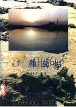 新疆盐湖 1995 PDF电子版封面 7030046803 郑喜玉等著