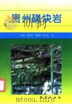 贵州磷块岩 1999 PDF电子版封面 7116025928 吴祥和,韩至均,蔡继峰等著