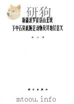 新疆波罗霍洛山北坡下中石炭统腕足动物及其地层意义 1964 PDF电子版封面 13031·1965 杨式溥著