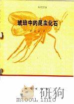 琥珀中的昆虫化石 1981 PDF电子版封面 15038·新548 洪友崇编著