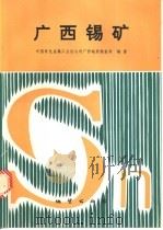 广西锡矿   1993  PDF电子版封面  7116013997  李人科等编著 