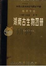 中华人民共和国地质矿产部地质专报 2 地层 古生物 第1号 湖南古生物图册 1982 PDF电子版封面 15038·新831 湖南省地质局编著