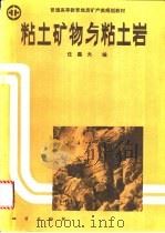 粘土矿物与粘土岩 1992 PDF电子版封面 7116009124 任磊夫编