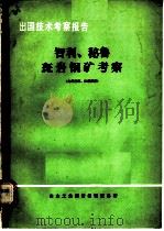 出国技术考察报告:智利、秘鲁斑岩铜矿考察 PDF电子版封面 冶金工业部情报研究总所