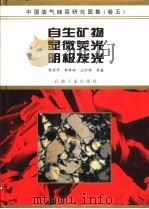 中国油气储层研究图集 第5卷 自生矿物 显微荧光 阴极发光 1994 PDF电子版封面 750211243X 陈丽华等著