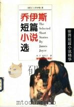 乔伊斯短篇小说选 1998 PDF电子版封面 7540419652 (爱尔兰)乔伊斯(James Joyce)著;米子,沈冬子译