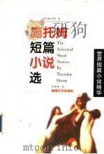 施托姆短篇小说选   1998  PDF电子版封面  7540419644  （德）特奥多尔·施托姆（Theodor Storm）著；孙坤 
