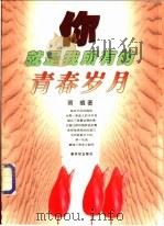 你就是我所有的青春岁月 1999 PDF电子版封面 7540520159 雨痕著