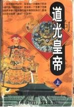 道光皇帝 上 1999 PDF电子版封面 7104011021 赵辉著