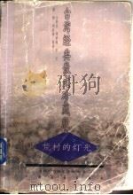 荒村的灯光 1998 PDF电子版封面 7506807351 祝勇编选
