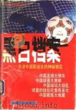 黑白档案 走进中国职业化足球的神秘禁区 1997 PDF电子版封面 7223009837 罗解文著