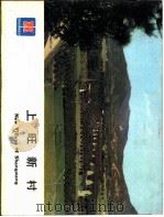 建筑实录  上旺新村（ PDF版）